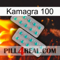 Kamagra 100 29
